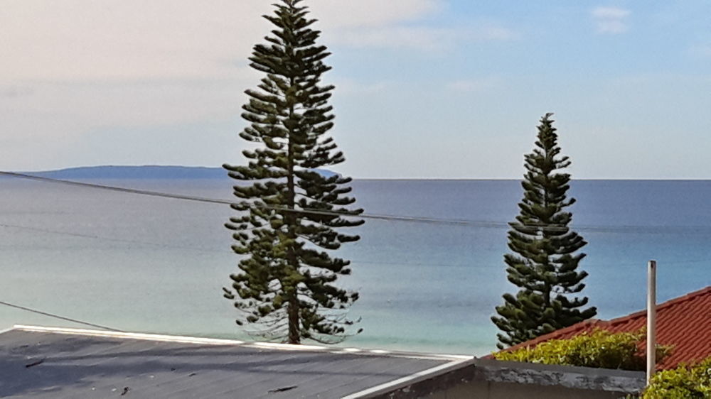Allure On Ocean Motel - Mollymook Beach Exteriör bild